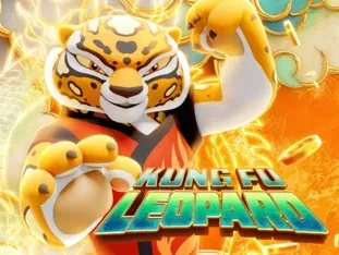 Kung Fu Leopard game icon